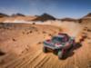 Herausfordernde Rallye Marokko für Audi